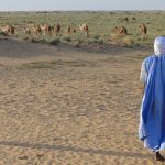 Partez à la découverte de la Mauritanie