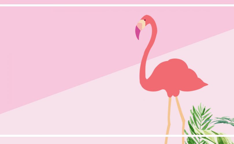 flamingo contrast color fresh ins_925425